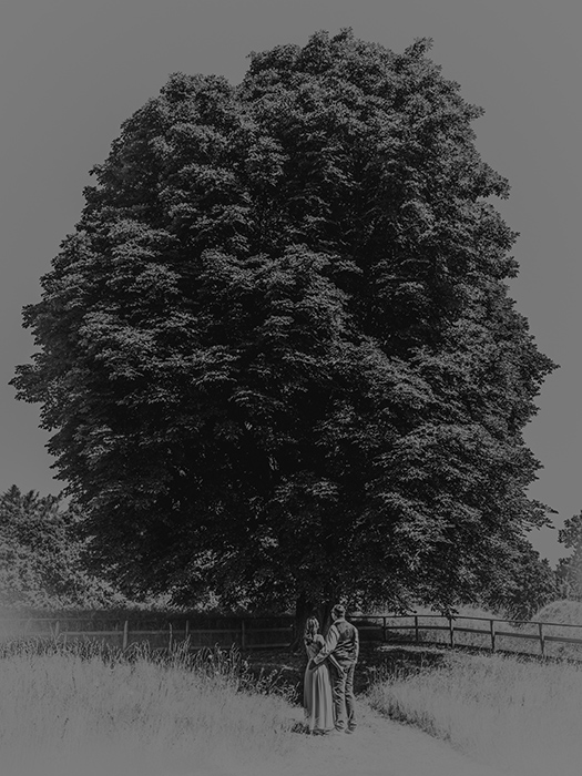 Brautpaar vor einem großen Baum. Schwarz-weiss